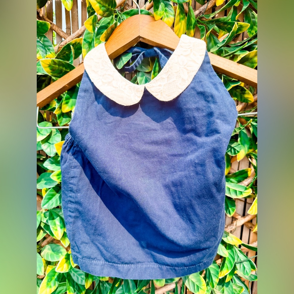 🔹 Lacey Lane‎ Willow Navy Collared Top